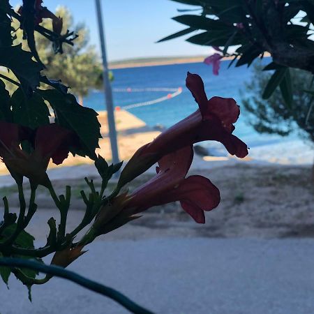 Apartament Croatia Mandre Zewnętrze zdjęcie