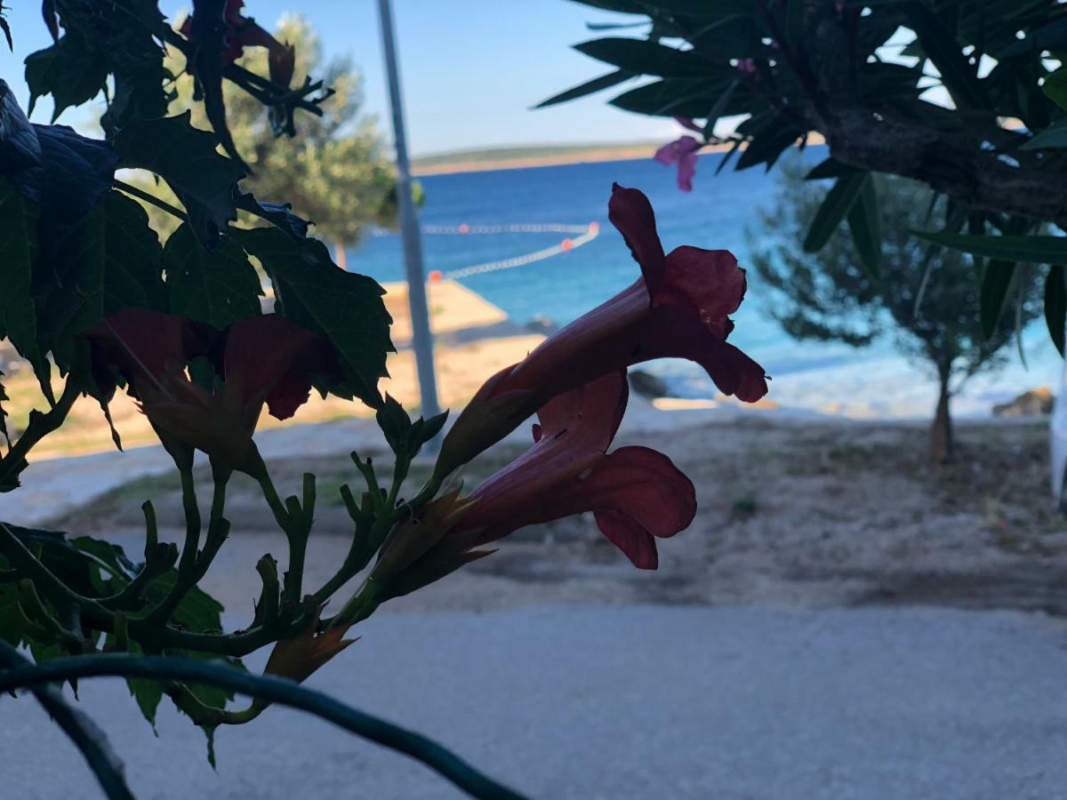 Apartament Croatia Mandre Zewnętrze zdjęcie