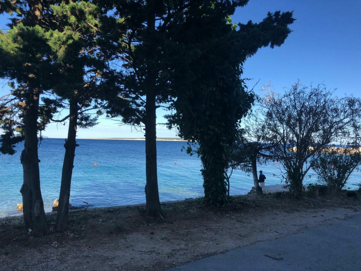 Apartament Croatia Mandre Zewnętrze zdjęcie